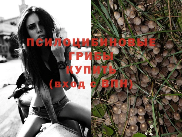 дмт Алексин