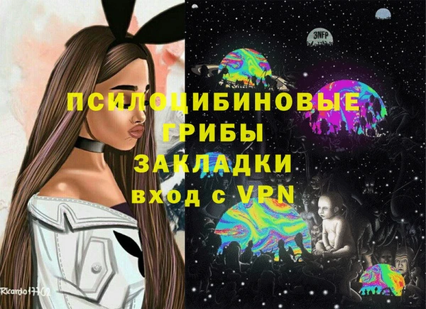 а пвп мука Алзамай