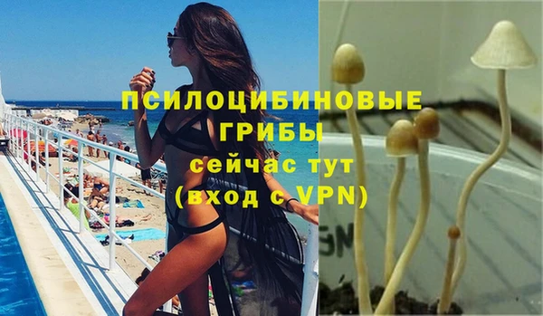 первитин Кукмор